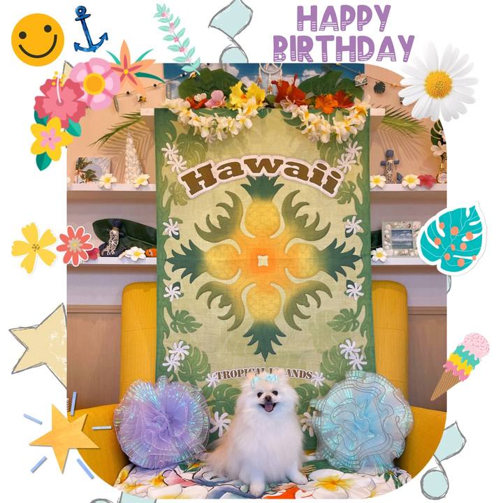 314d6e93 efde 452f b578 e74c232d1abf 1660060470775