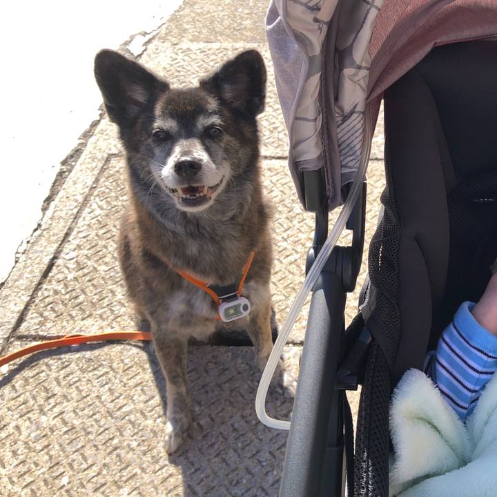 314d8329 5219 4c43 bf98 90f57948de2f 1697962279893