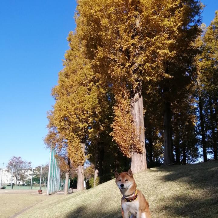 314da0f8 a20c 4df4 a651 3152d57f9472 1636592266246