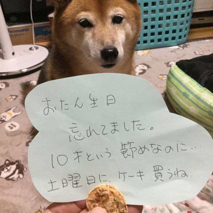 314da186 ca4d 4d9d 81e5 88b401c319c3 1603365048634