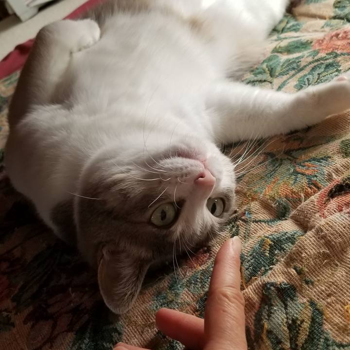 314dcceb 09a5 447d a827 7acd51fc32df 1574216582891