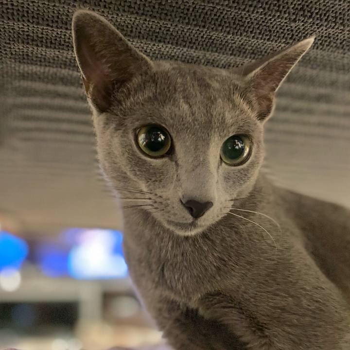 314df71f c787 4528 90e1 20566c57bd53 1623756359164