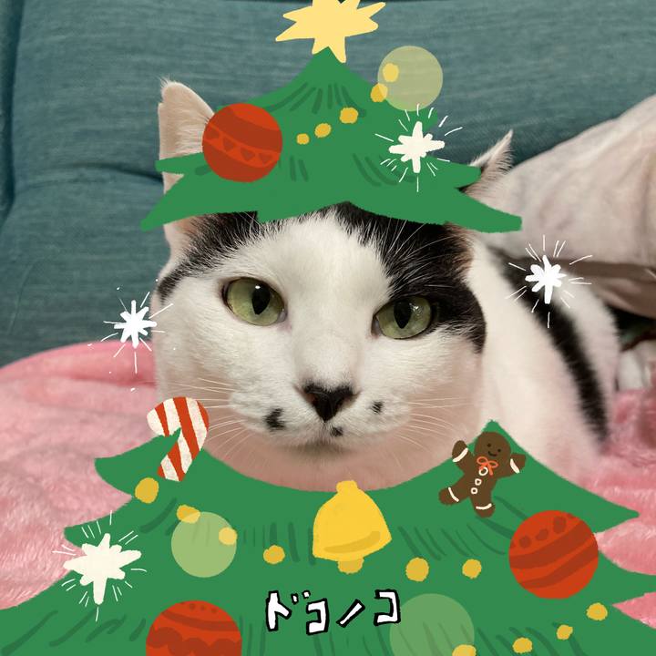 314e8a86 5264 451b 8cfb 0cd09e8f0c38 1761134191902