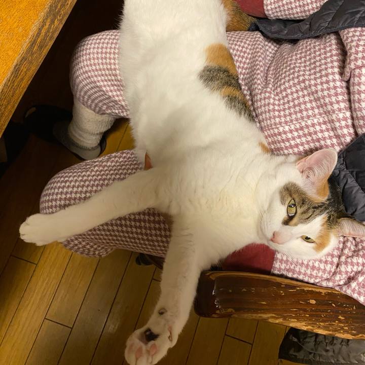 314ea2a0 e1aa 463b a11f 0cf281f0f5c9 1770724567854