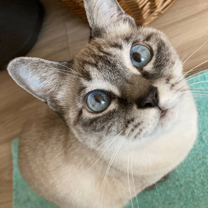 314eb149 8929 49e0 af9d 0f9fbf0b8402 1734831740722