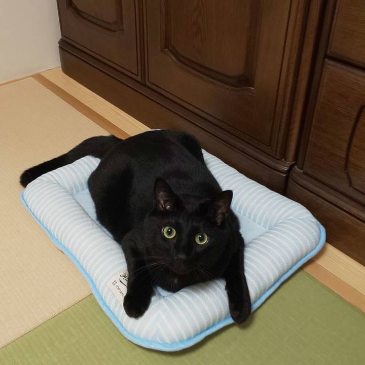 314ebf5a 2948 42f0 986d c40a0c112360 1564192239153