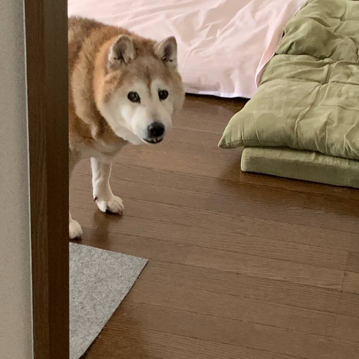 314ec364 6a5e 48a8 ab21 688ed72ccb2b 1662866333645