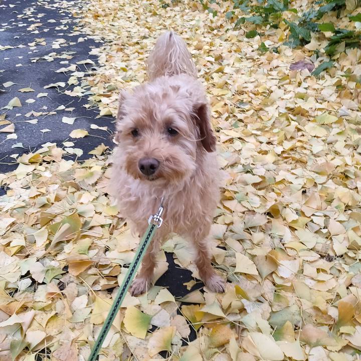 314ec9f7 7257 4d54 9459 5ce72ae83154 1605329237633