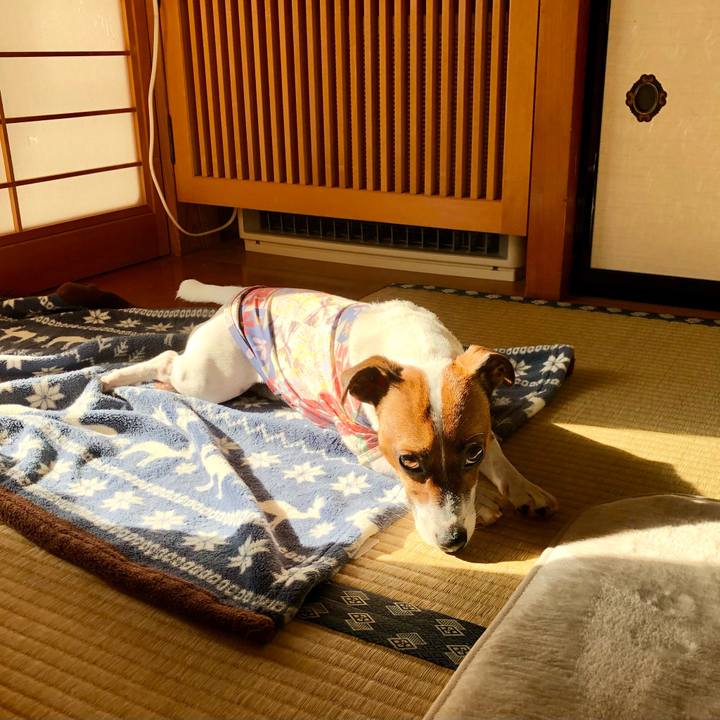 314ee45f 420d 42d3 8b92 2cd51fd1af0e 1601340421717