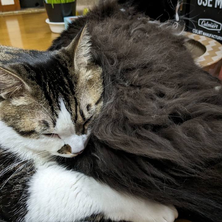 314f220d 41eb 47c1 8bbf d93f9a8b1dae 1701338497609