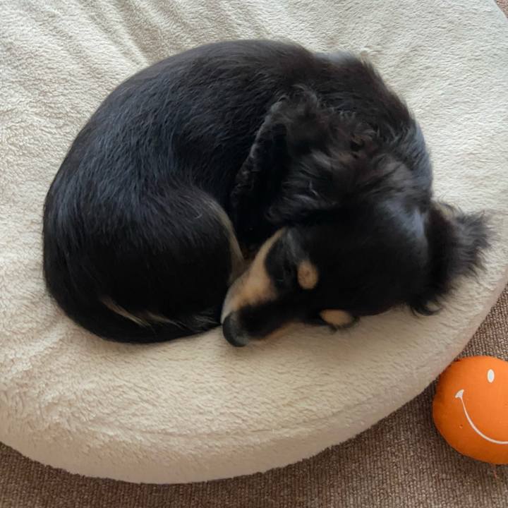 314f3591 6f96 4f2d b749 5bc8d8b8cf3c 1665730892228