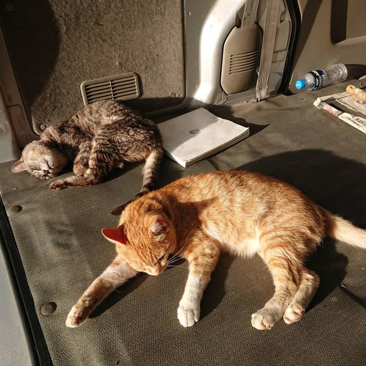 314f45d9 bb0b 48b1 b149 dd318919bbbc 1593723513689