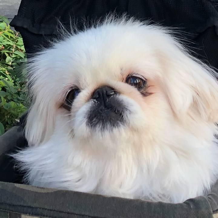 314f49fb 0eed 4e3d 9191 69186b94c16d 1546597565244