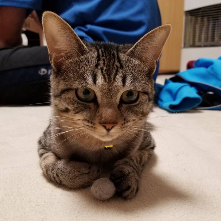 314f514a 3499 43f7 80b3 c850c1af5ae2 1675949246390