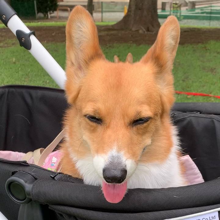 314f5f0b 88aa 4e23 a532 81fe48355184 1623981937976