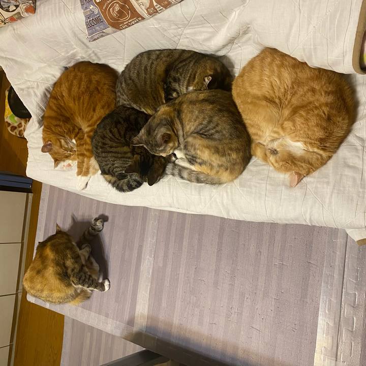 314f6953 cb92 4bf1 aeff ec4af4f8242e 1617794251879