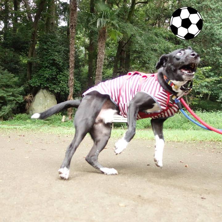 314f8221 fec3 439e 877c a9398479ddaa 1597622895813