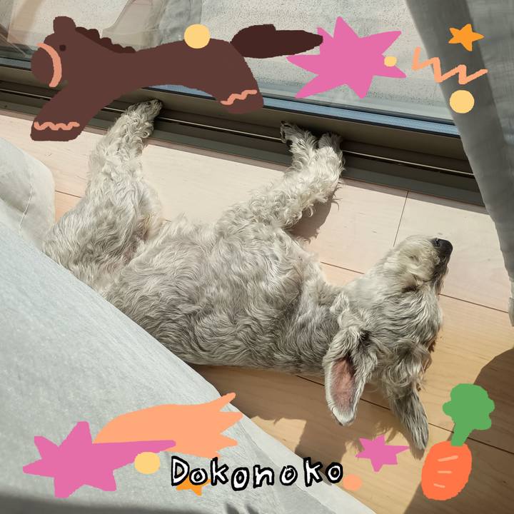 314fa79e 4e43 438c ad97 c32bc8352008 1771848400378