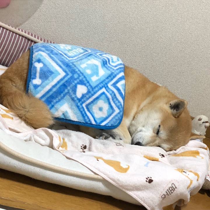 31502975 d149 4a2b a112 3071cbe66af1 1603004729546