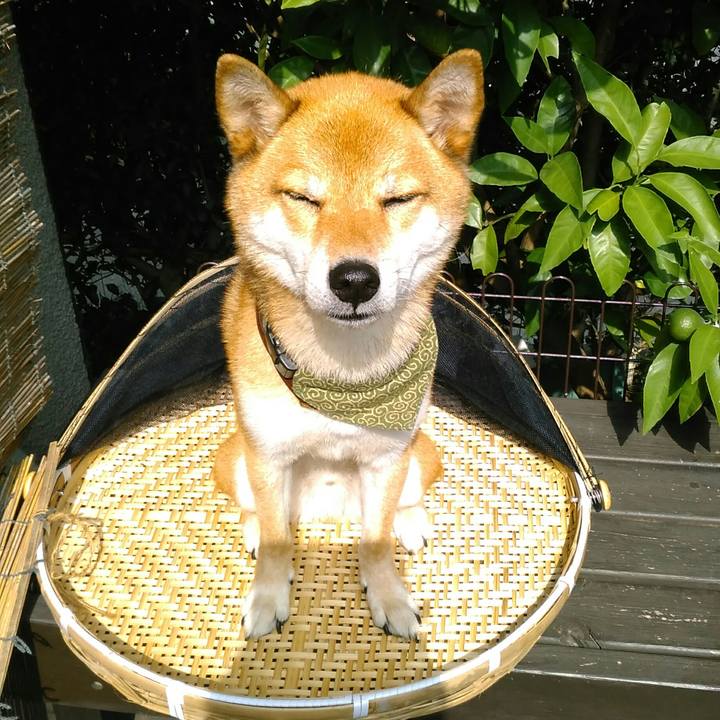 31502ce5 2894 4bd2 b3a8 3751d188ae10 1533537510808