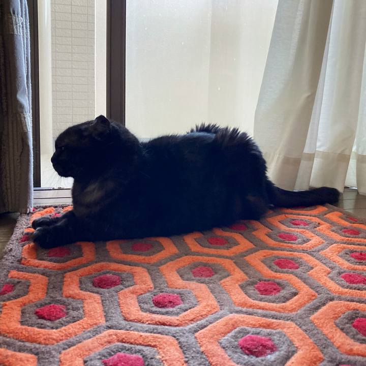 31508378 e740 4ade bee8 a9c00635662d 1591768226313