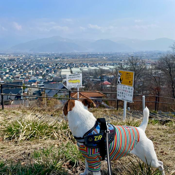 3150a5c5 8948 4fd3 b823 5913e7d73bde 1741872962064