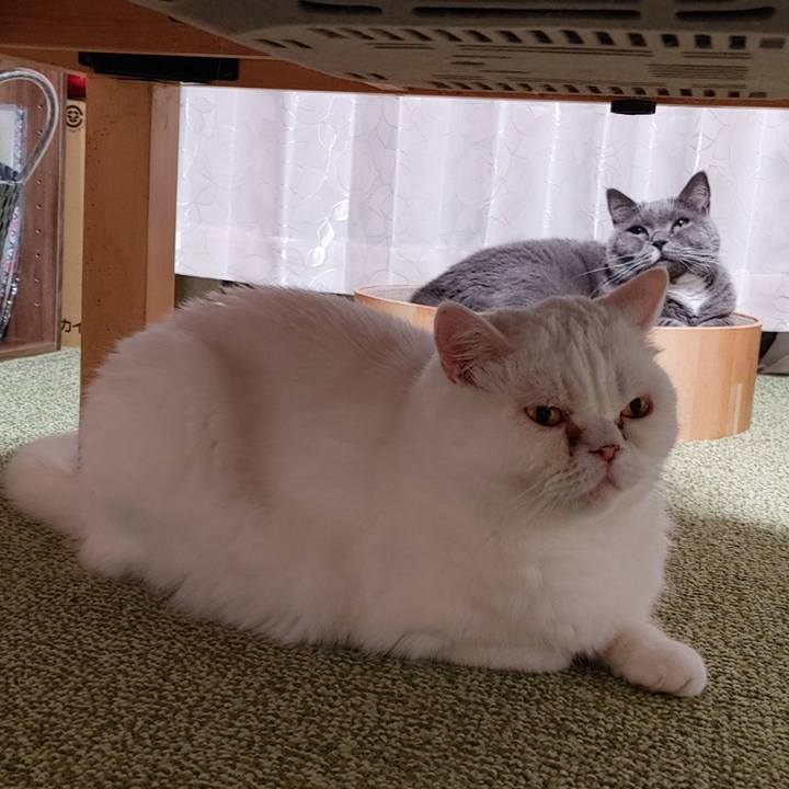 3150b0b0 1b2d 4b71 a1d3 214db3eda9c6 1629804409192