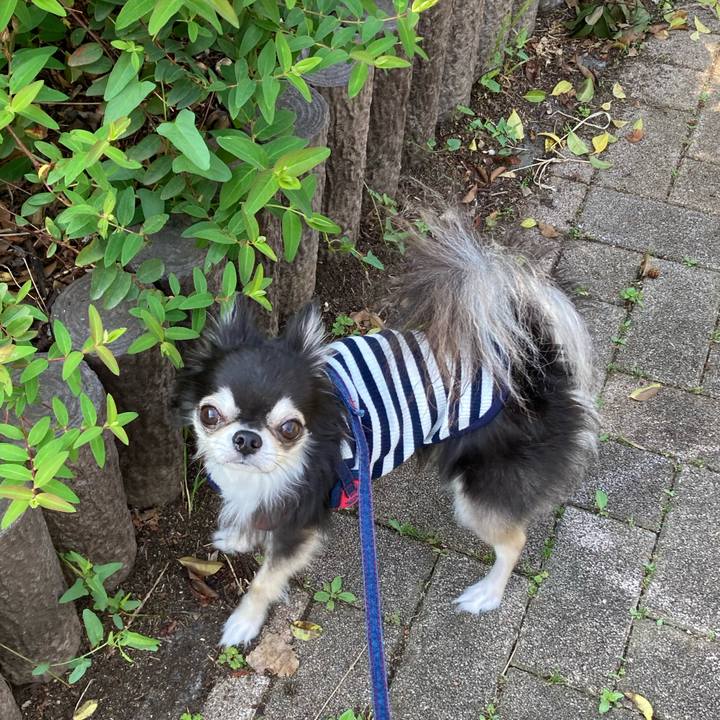 3150c676 96a5 4f18 be49 f25c5eb4c124 1714321043706