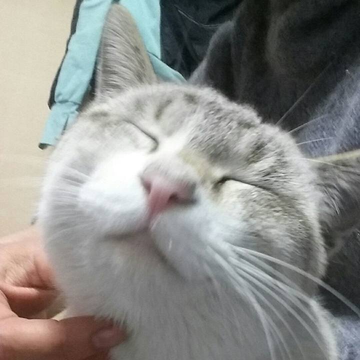 3150f9b2 8f93 4594 9aca 22fa73a4eba8 1516376448055