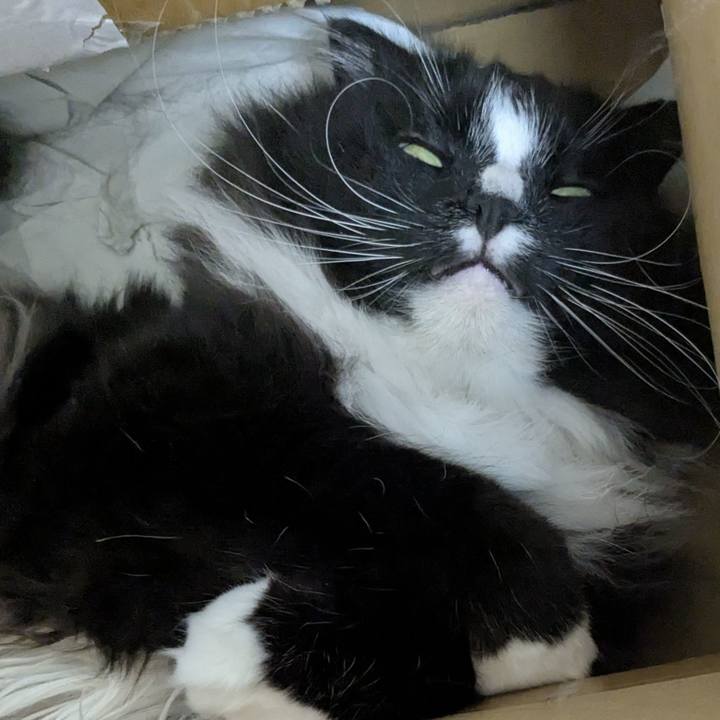 31511057 e034 4cf6 a07e cdfe2e81e0e6 1750840336025