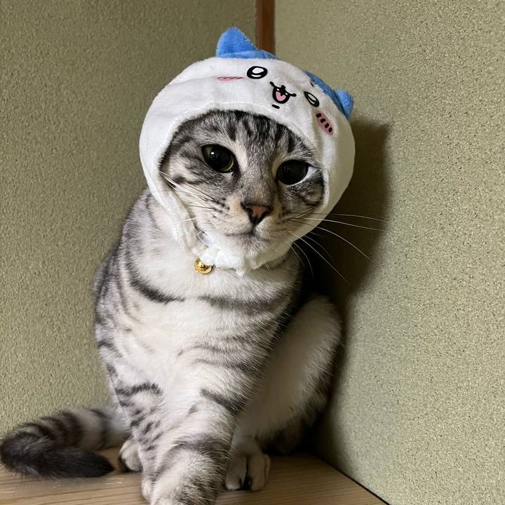 3151588f 6663 44de 9a51 237453f565c0 1719268230164