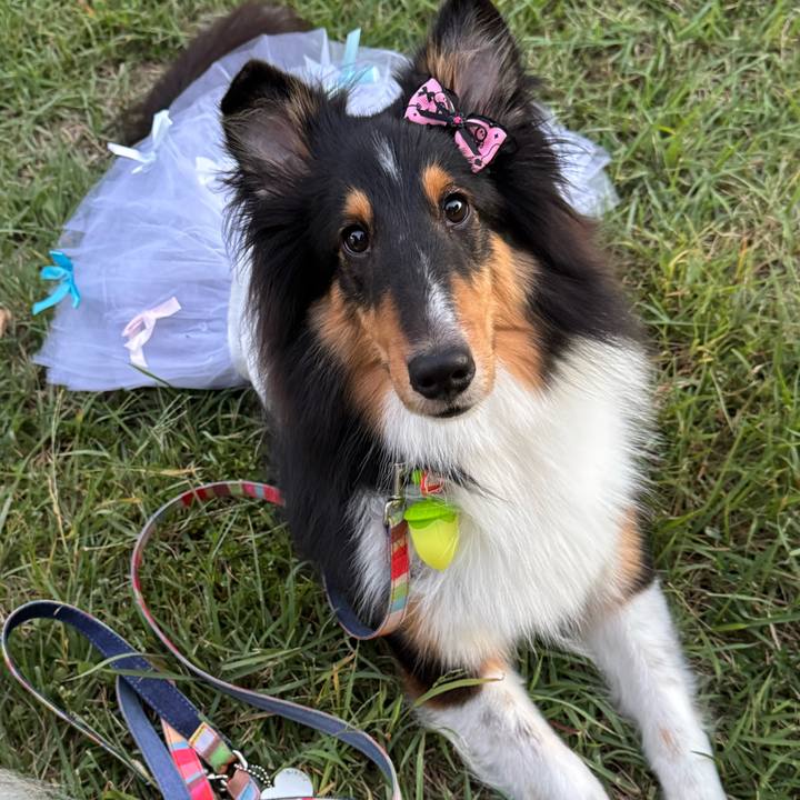 3151d2d4 ec9a 4f64 a54f fa4cae0b5ea7 1760547918841