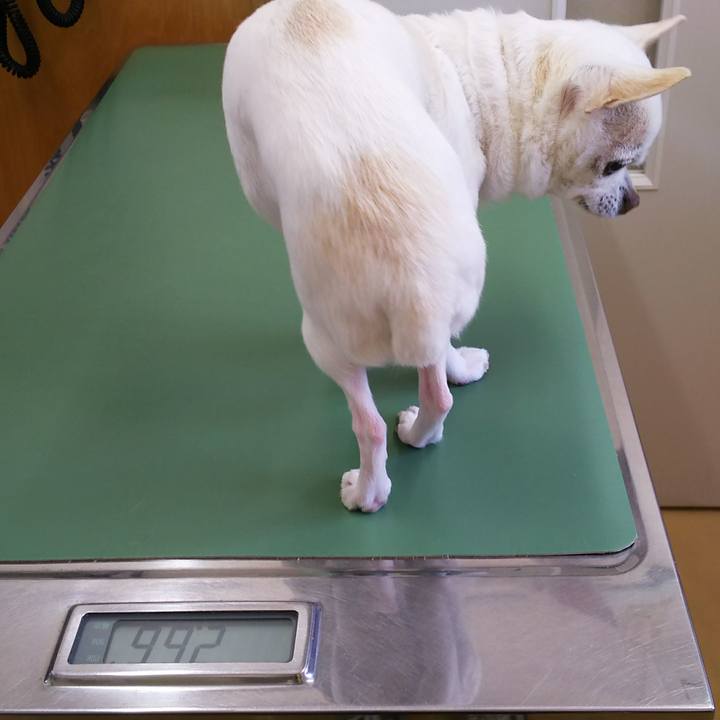 3151e824 7d24 410f af9e 3104a1a6ac6d 1527902541424