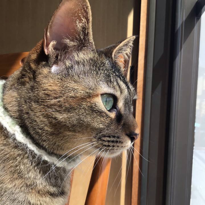 3151ea69 da01 4458 84ae 2af6502275dd 1648623038701