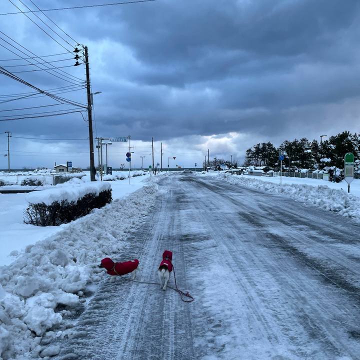 3151f407 1a47 402d a2c0 72701861cadd 1769296692326