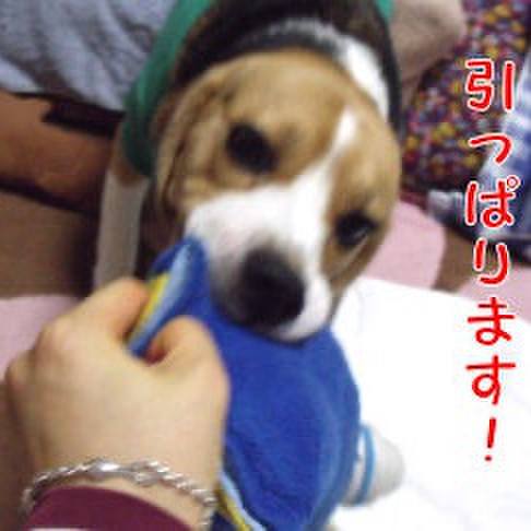 315214c9 f10d 483b 8df2 43fb27377edc 1717632295374