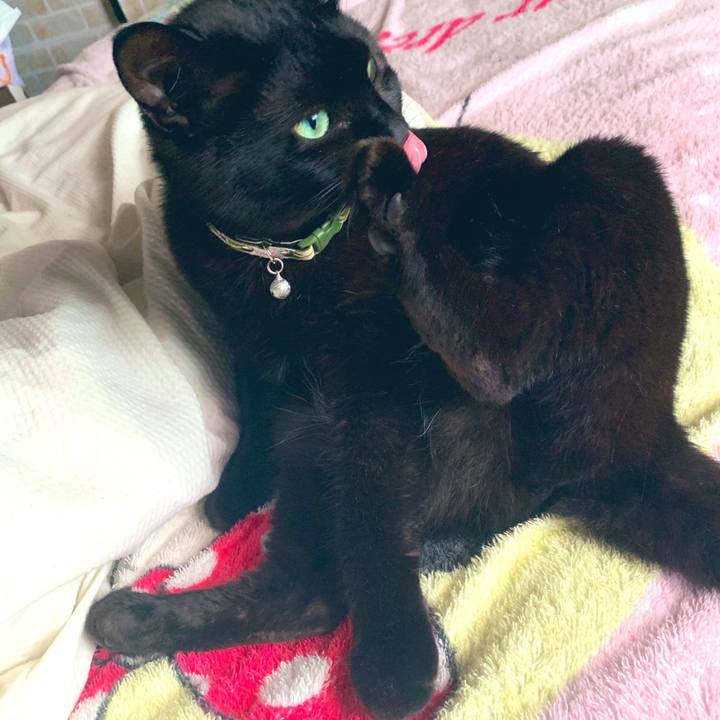 31522bde c563 4a74 a50e e20766767b40 1562336440974