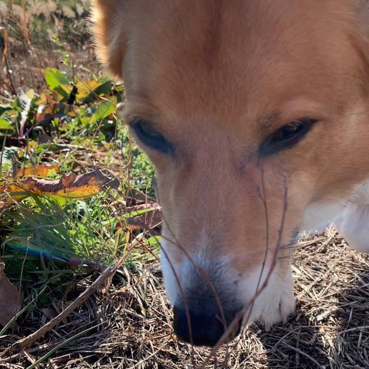 31529f68 ceae 4a65 b005 86e0af09700b 1640248053578