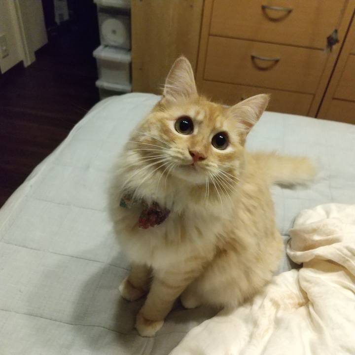 3153157f 74ca 4ea1 8c4c 1f663078a304 1630503619620