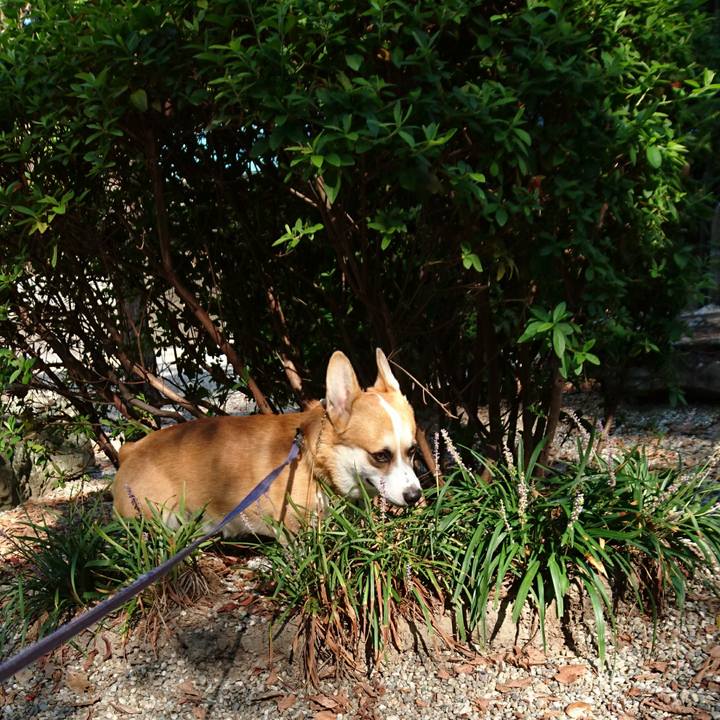 31534bd1 df68 4342 9f9d 9f786535de73 1599003800551