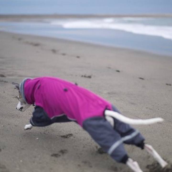 315359b1 fec7 45b5 8c49 a2caa69db553 1518524826353