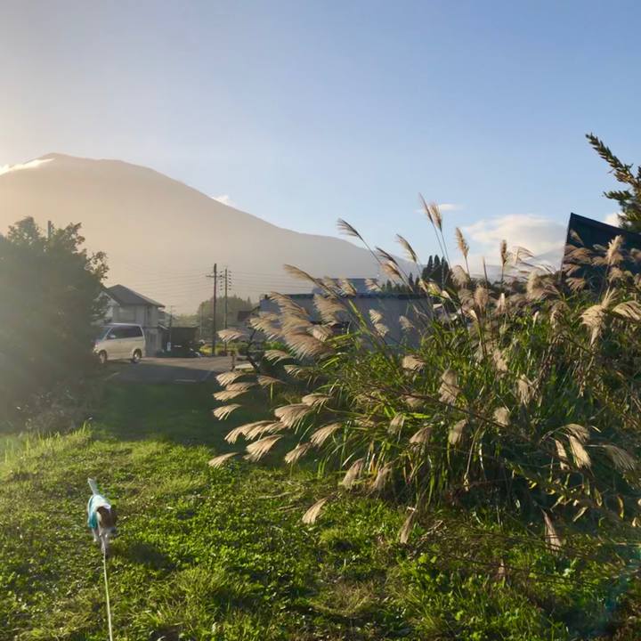 31536287 9b6c 4537 8dcf 96e25541c214 1570964460737