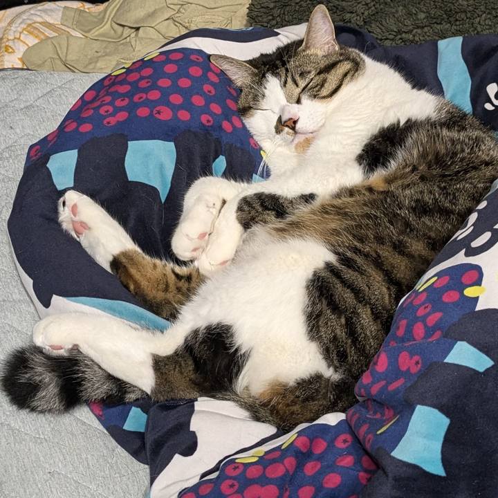 31537220 a96e 4fef 8587 0ae5a15d2660 1729575663232