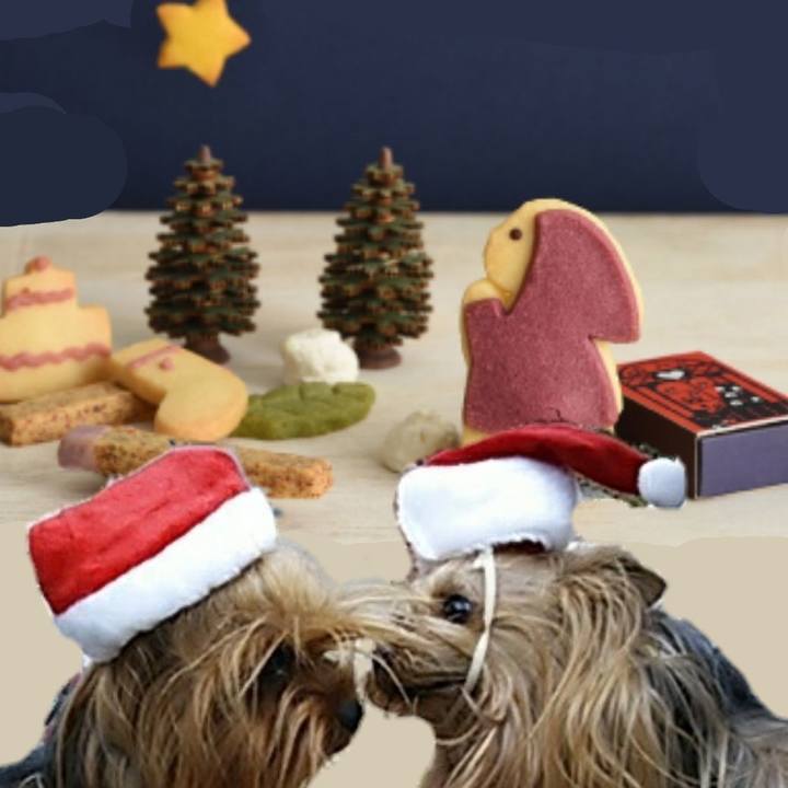 31540163 02ef 4b53 ade1 05ae8b2eefdd 1640337319334