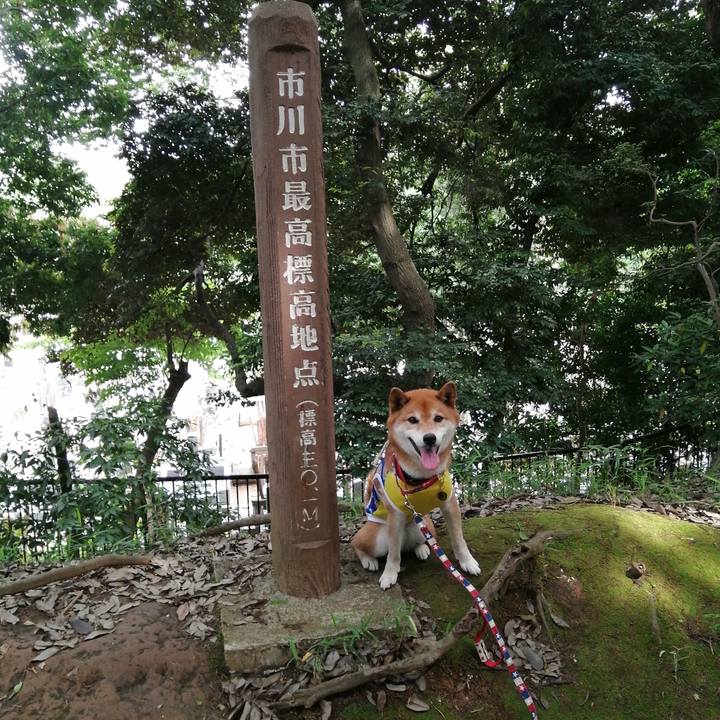 31540c8c 2c1a 4774 b522 6dd3aa55aad8 1653049368435