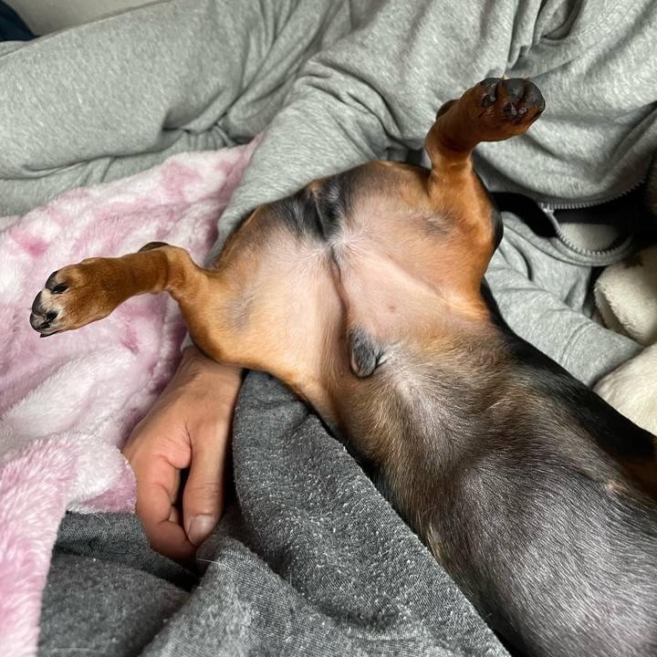 315421e2 7f53 47c2 af8e 39ba470d82e7 1670489990028