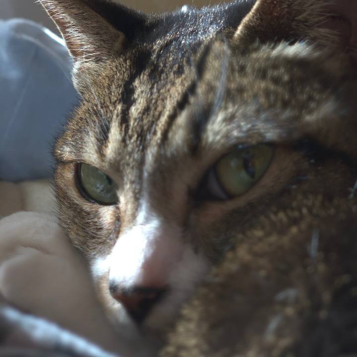 31543675 3d04 4ba7 b6ad ac54dfc8e8bb 1543109460536