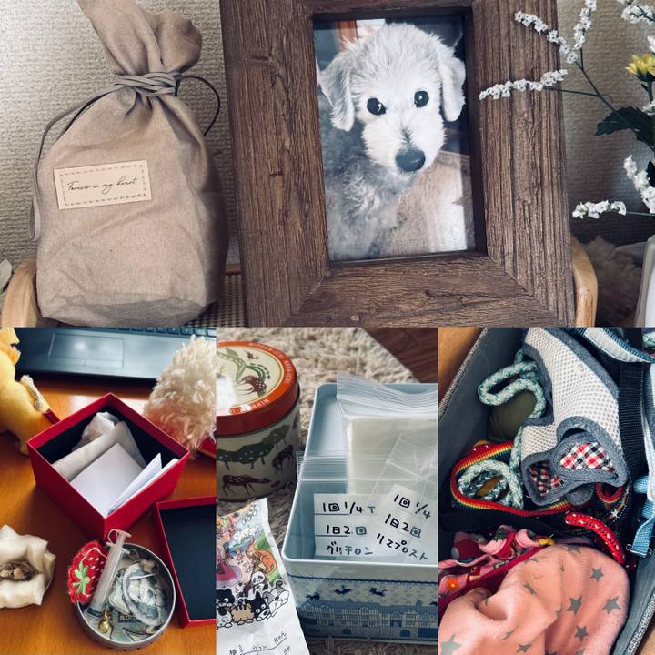 3154575f 098b 4710 a22f ccbd27150c2e 1758606978864