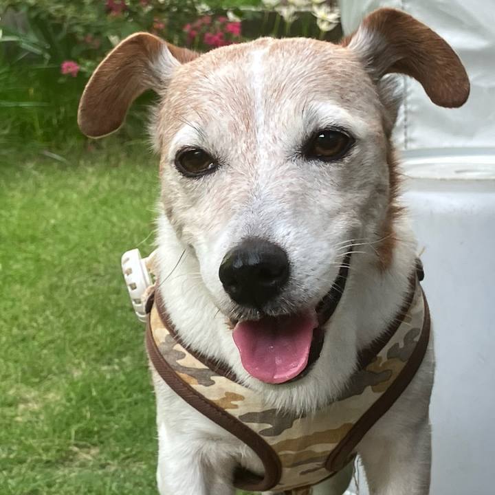 31545a3c 23ca 489f 892d 5e0409e3a543 1757808686602