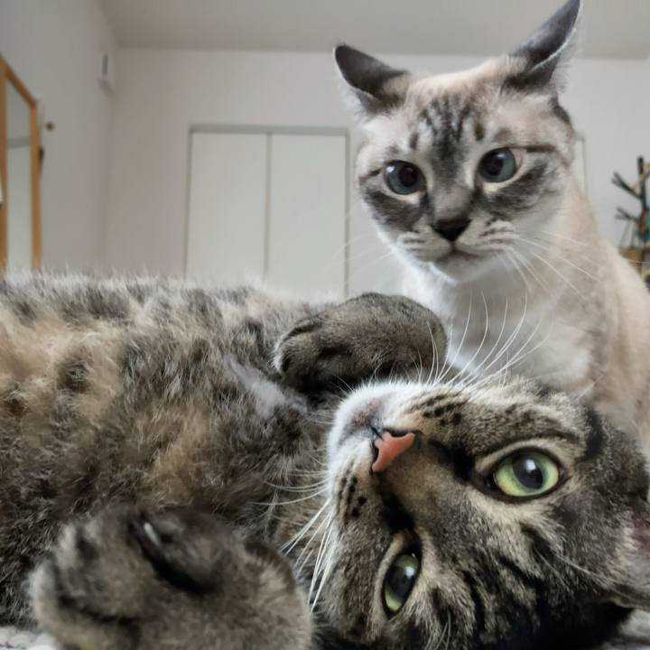 3154896e 567a 4f96 909d 637046fa9a69 1719126483123